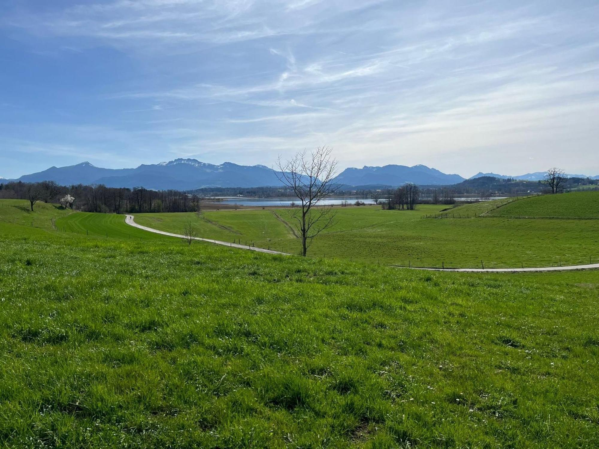 Liebhart *